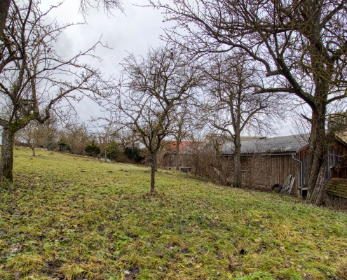 Baumbestand Garten Vierkanthof in Voitsau