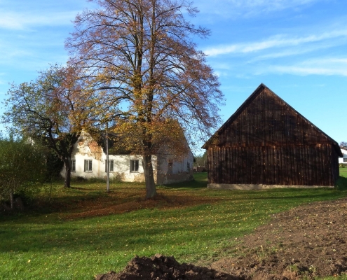 Bauernhaus Wielings im Waldviertel
